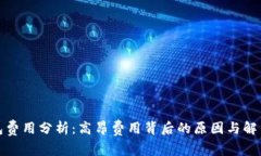 TP钱包费用分析：高昂费用背后的原因与解决方案