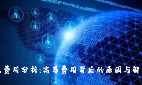TP钱包费用分析：高昂费用背后的原因与解决方案