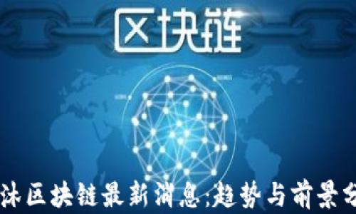 
西沐区块链最新消息：趋势与前景分析