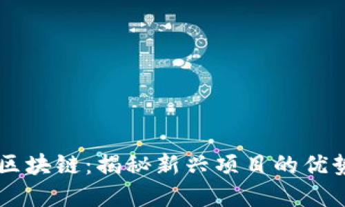 币修院区块链：揭秘新兴项目的优势与发展