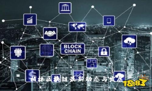 柏林区块链最新动态与发展